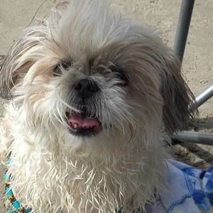 Meet your Posher, Debra